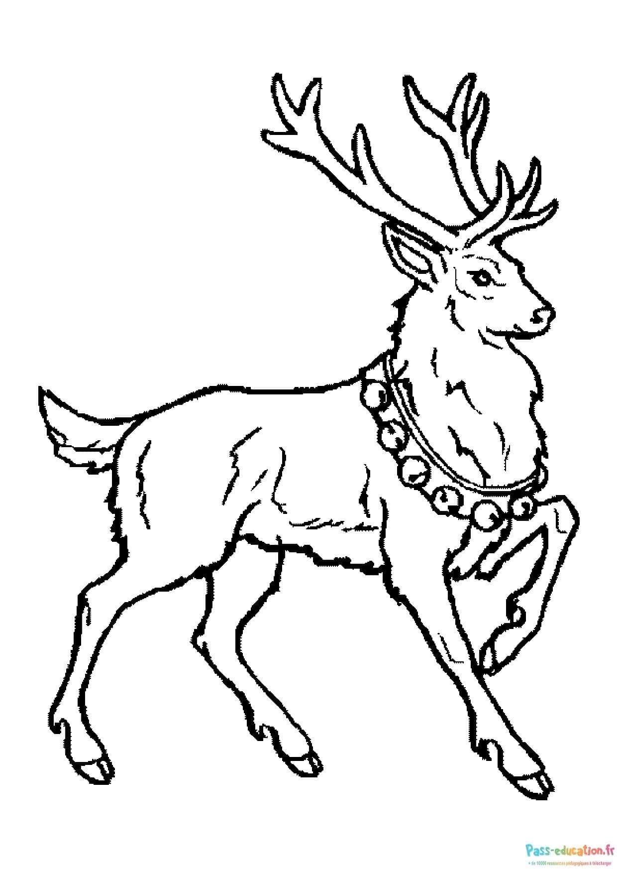 Coloriage Cerf joyeux à imprimer et colorier