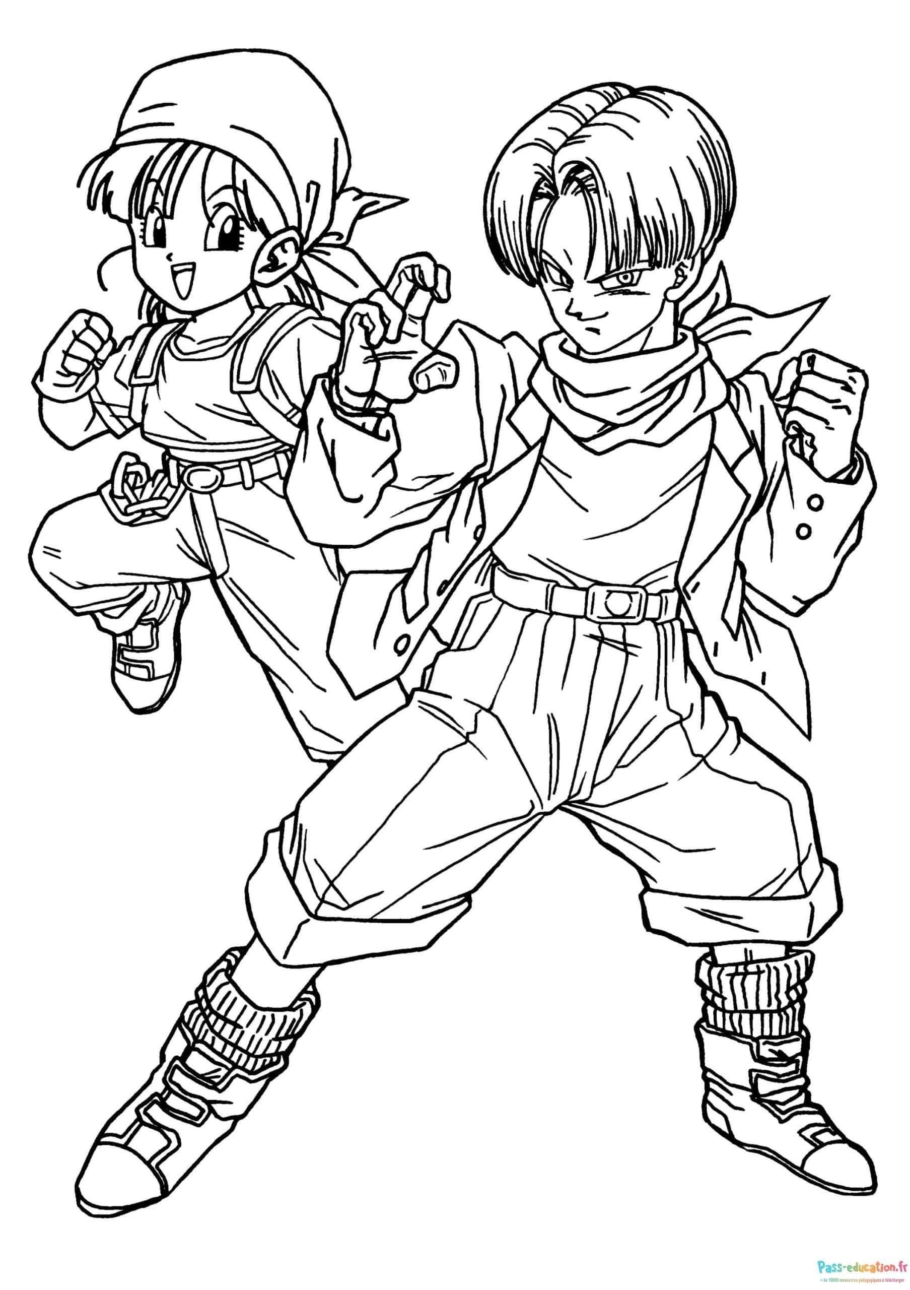 Coloriage Duo Dragon Ball à imprimer et colorier