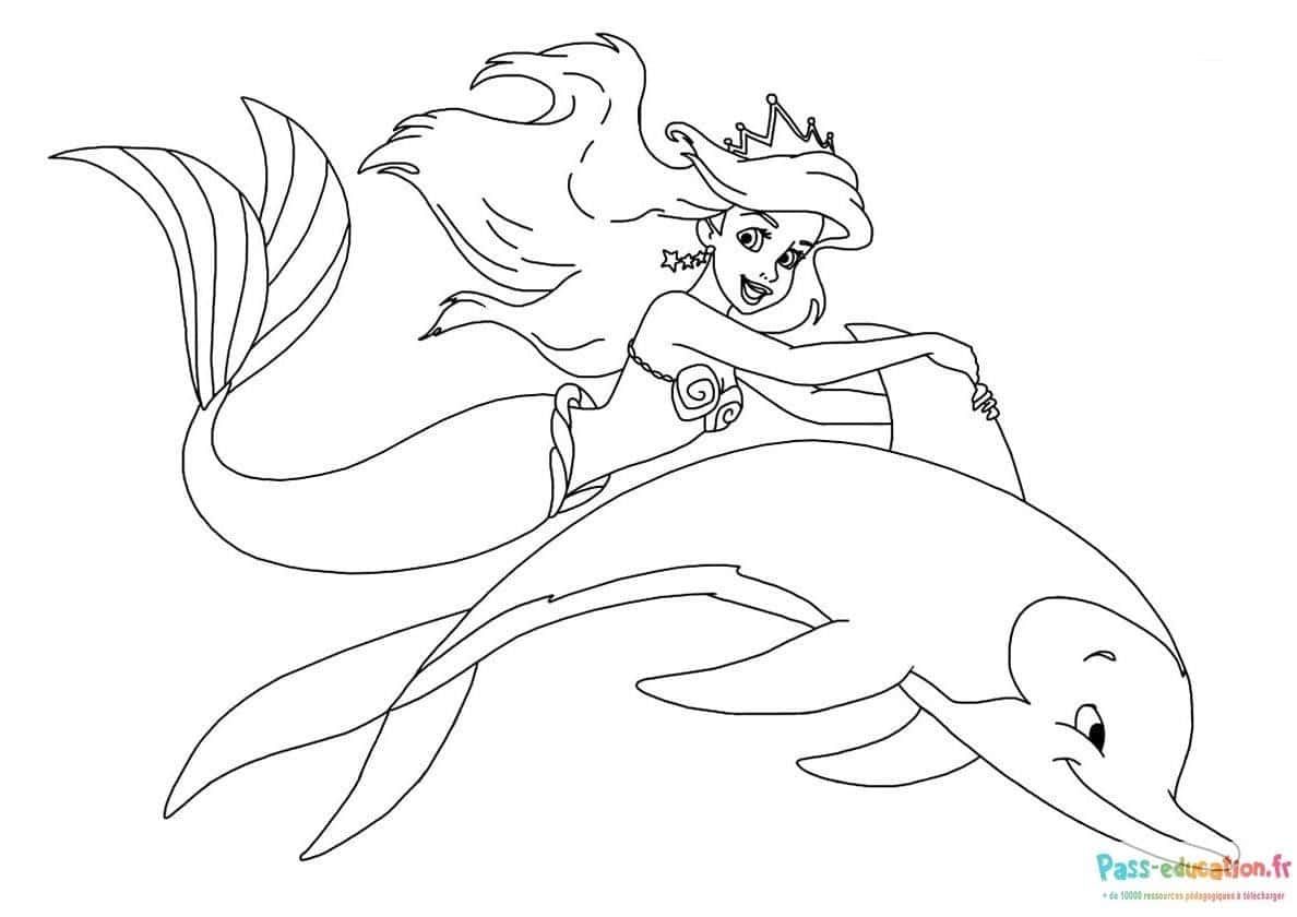 Coloriage Ariel et Dauphin à imprimer et colorier