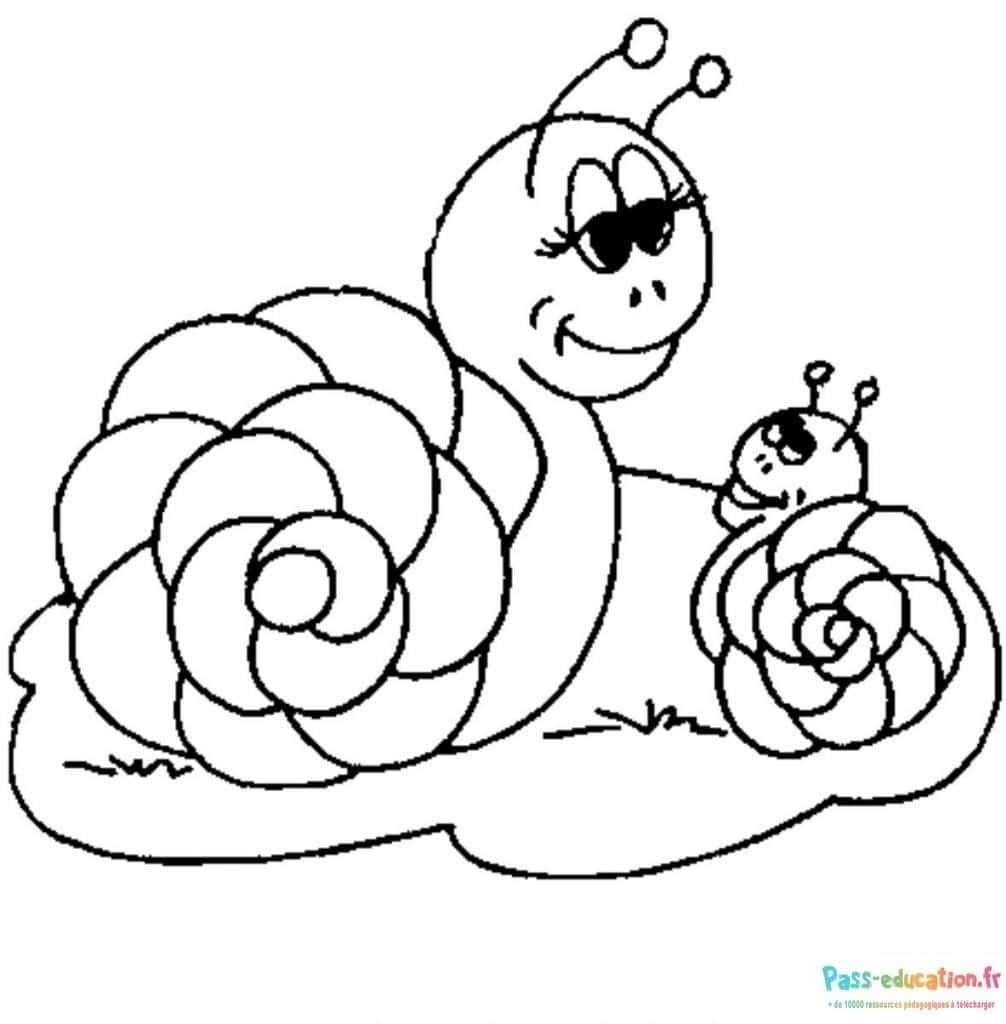 Coloriage Escargots souriants à imprimer et colorier