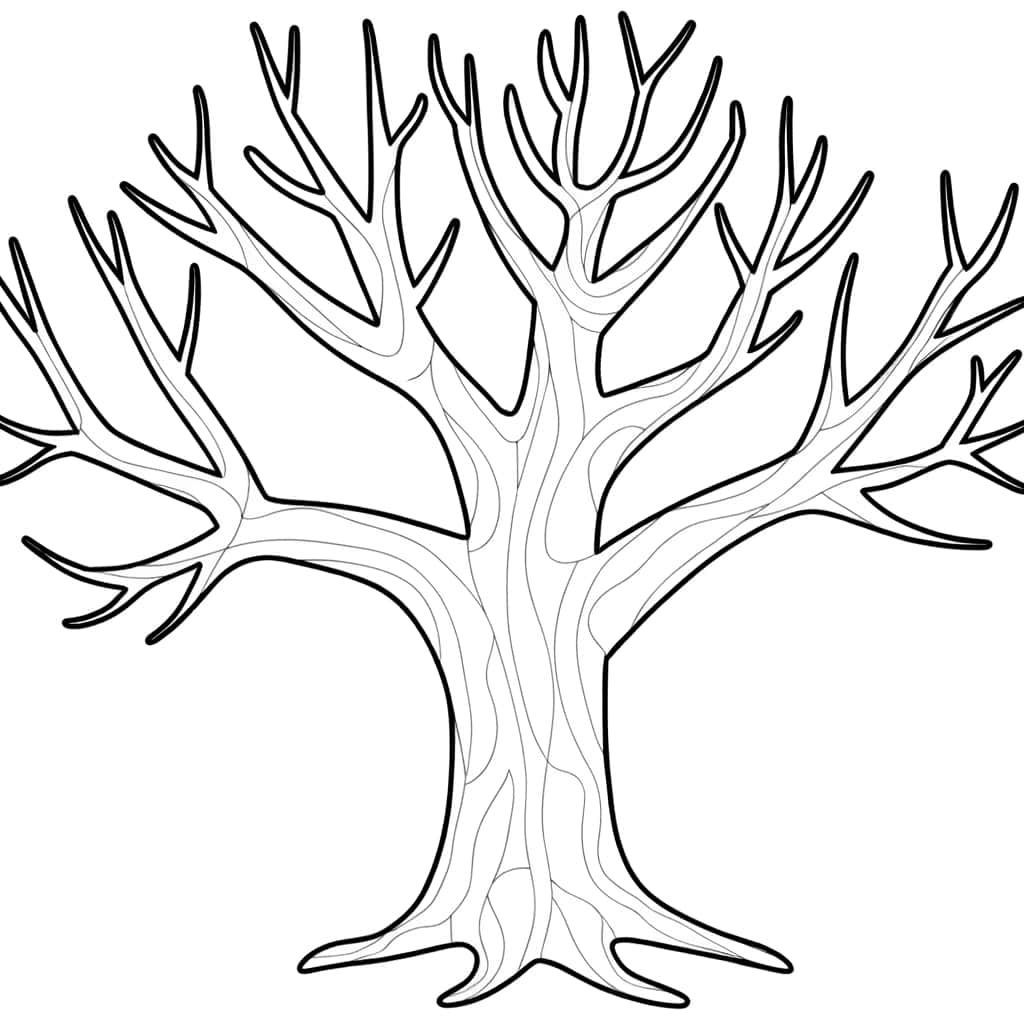 Coloriage Arbre Sans Feuille à imprimer et colorier