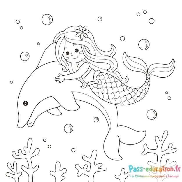 Coloriage Sirène et dauphin à imprimer et colorier