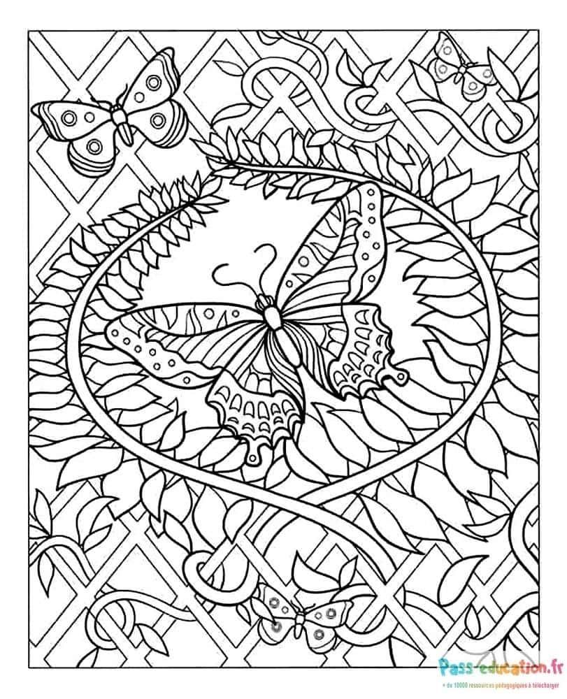 Coloriage Papillons enchevêtrés à imprimer et colorier