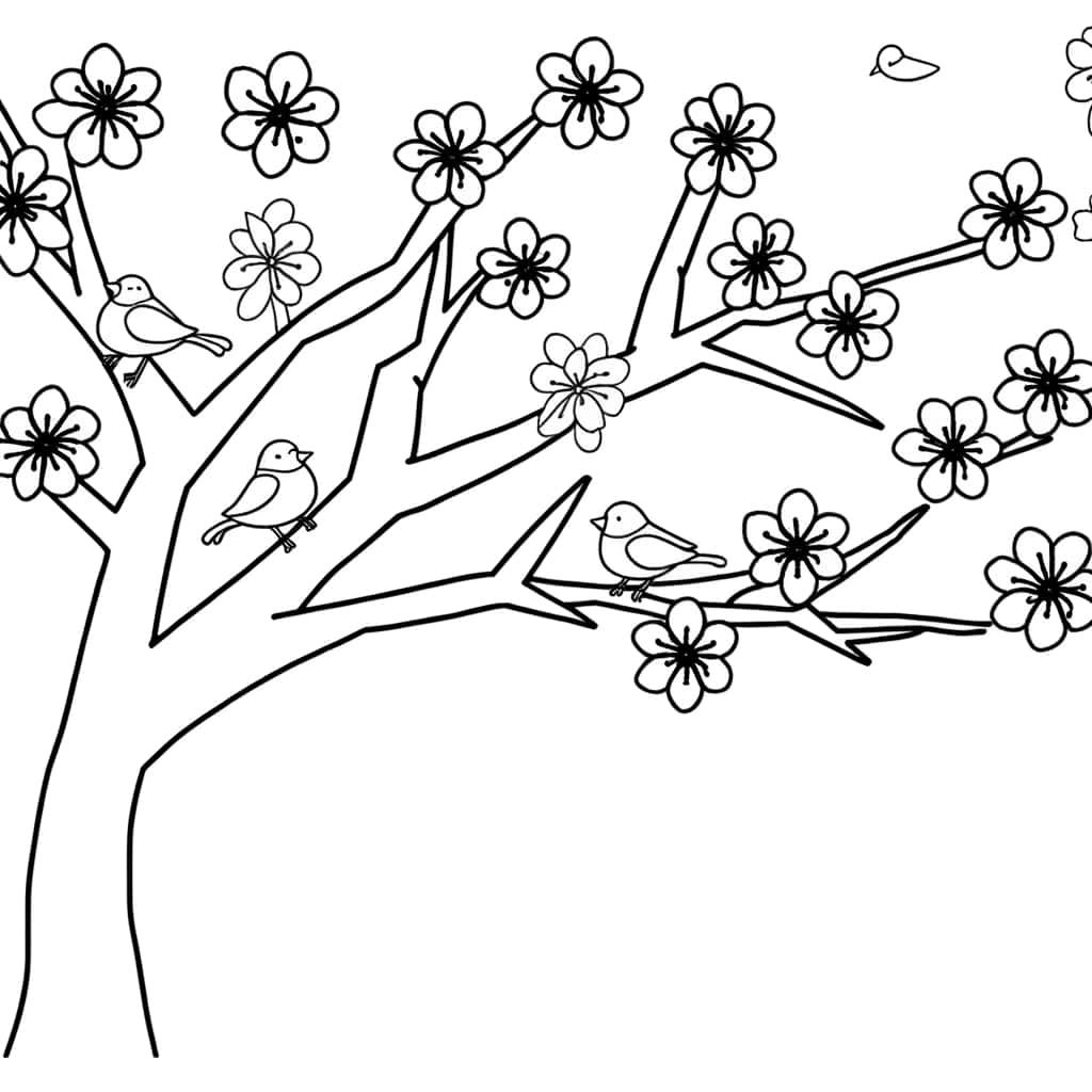 Coloriage Cerisier en fleurs à imprimer et colorier