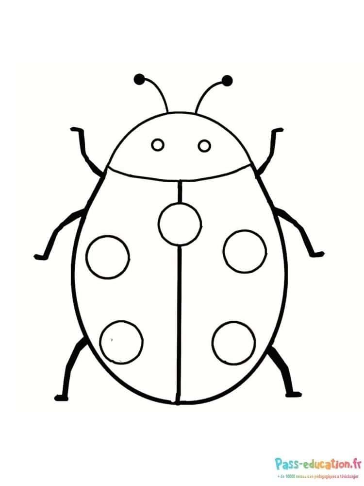 Coloriage Coccinelle stylisée à imprimer et colorier