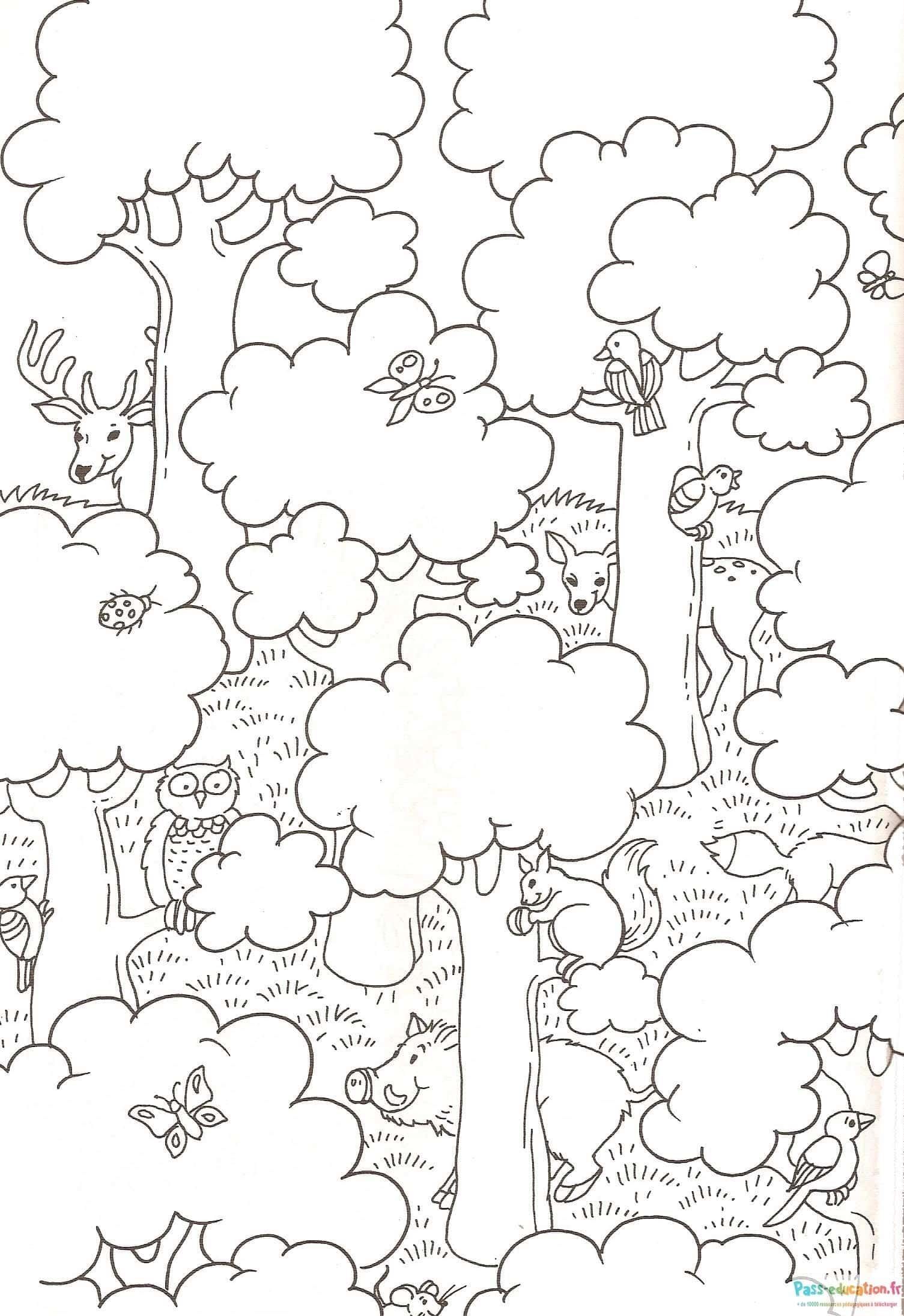 Coloriage Forêt animée à imprimer et colorier