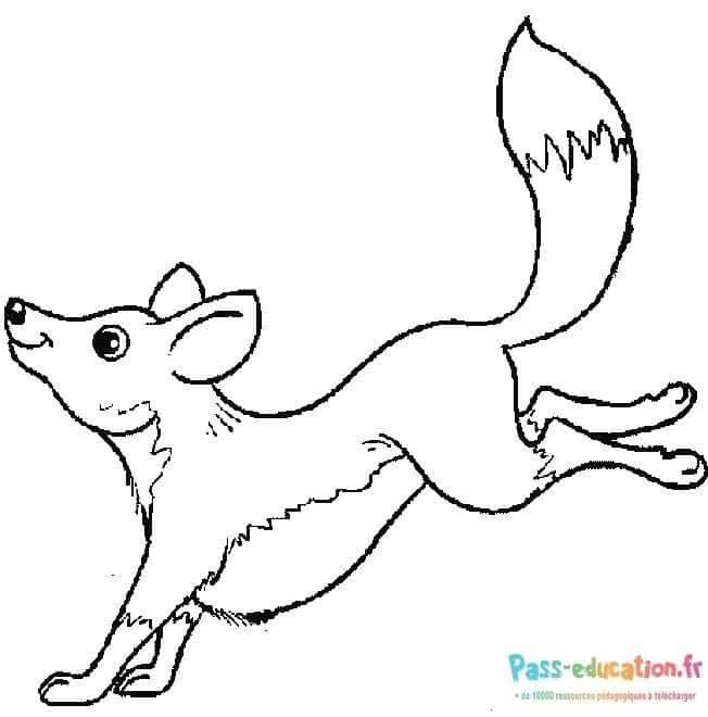 Coloriage Renard agile à imprimer et colorier