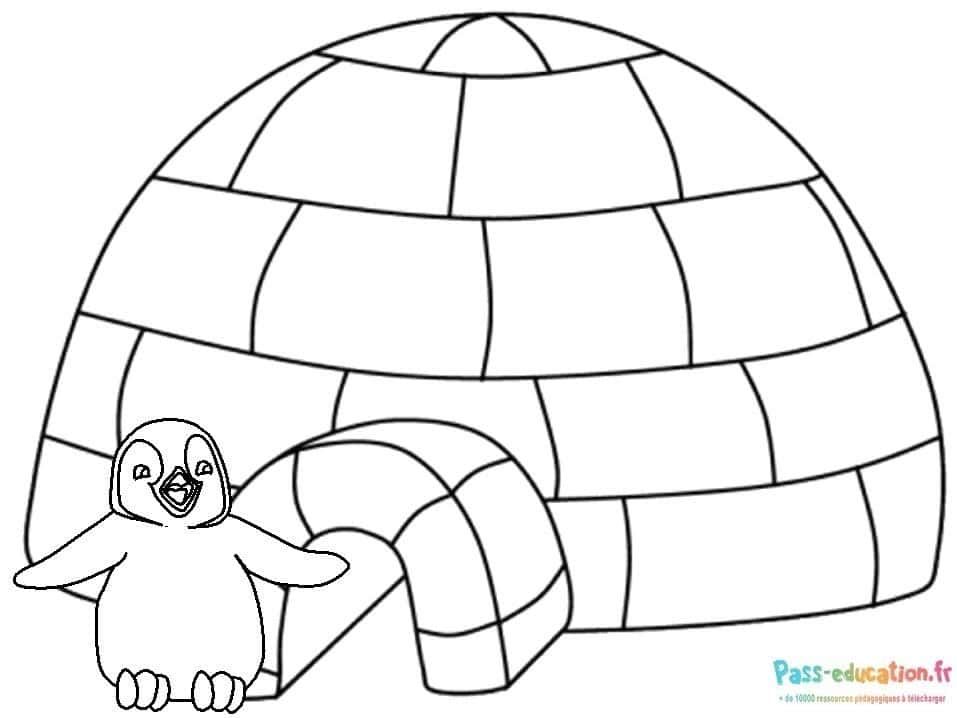 Coloriage Igloo et pingouin à imprimer et colorier