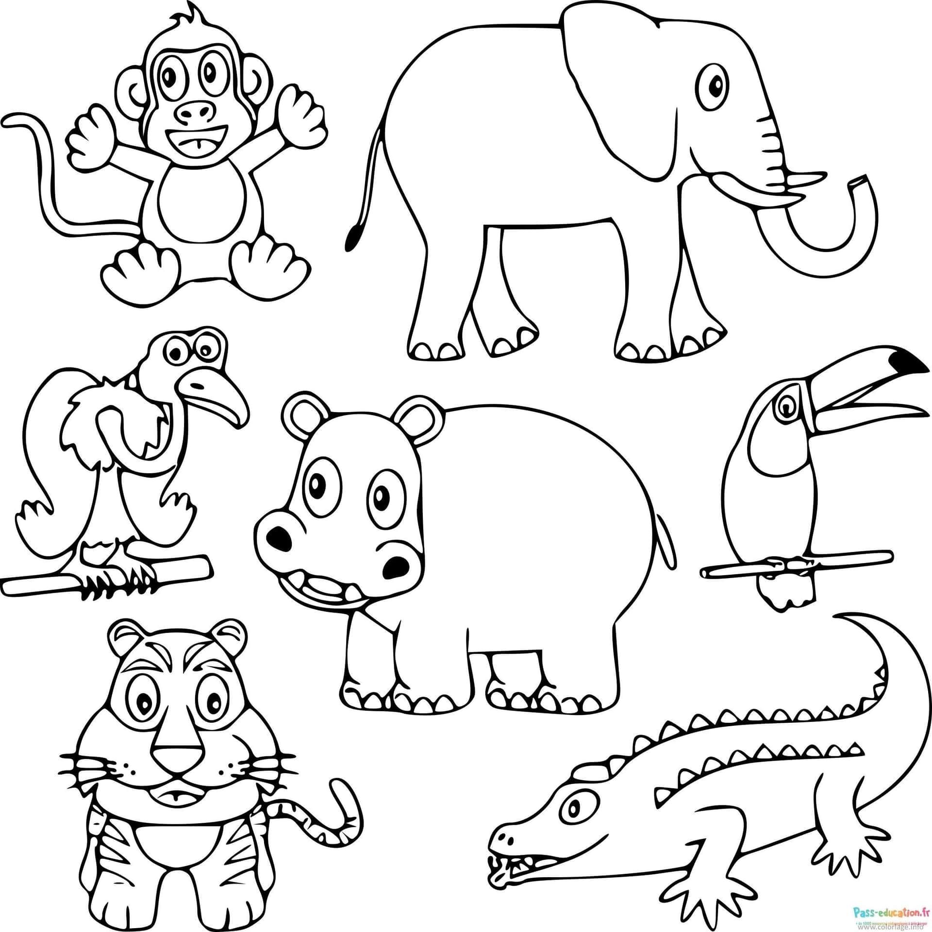 Coloriage Animaux sauvages à imprimer et colorier