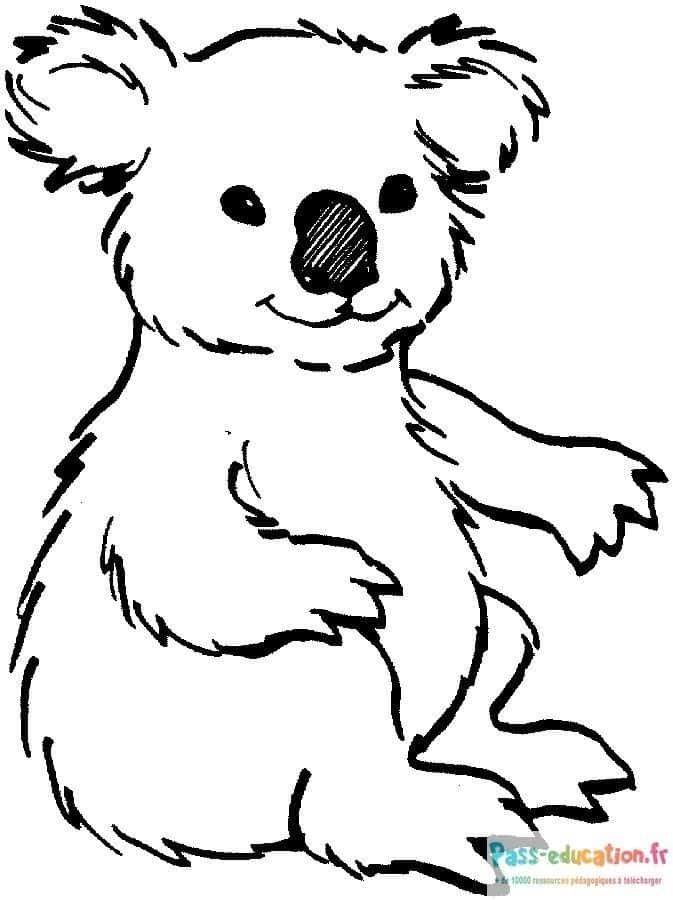 Coloriage Dessin koala à imprimer et colorier