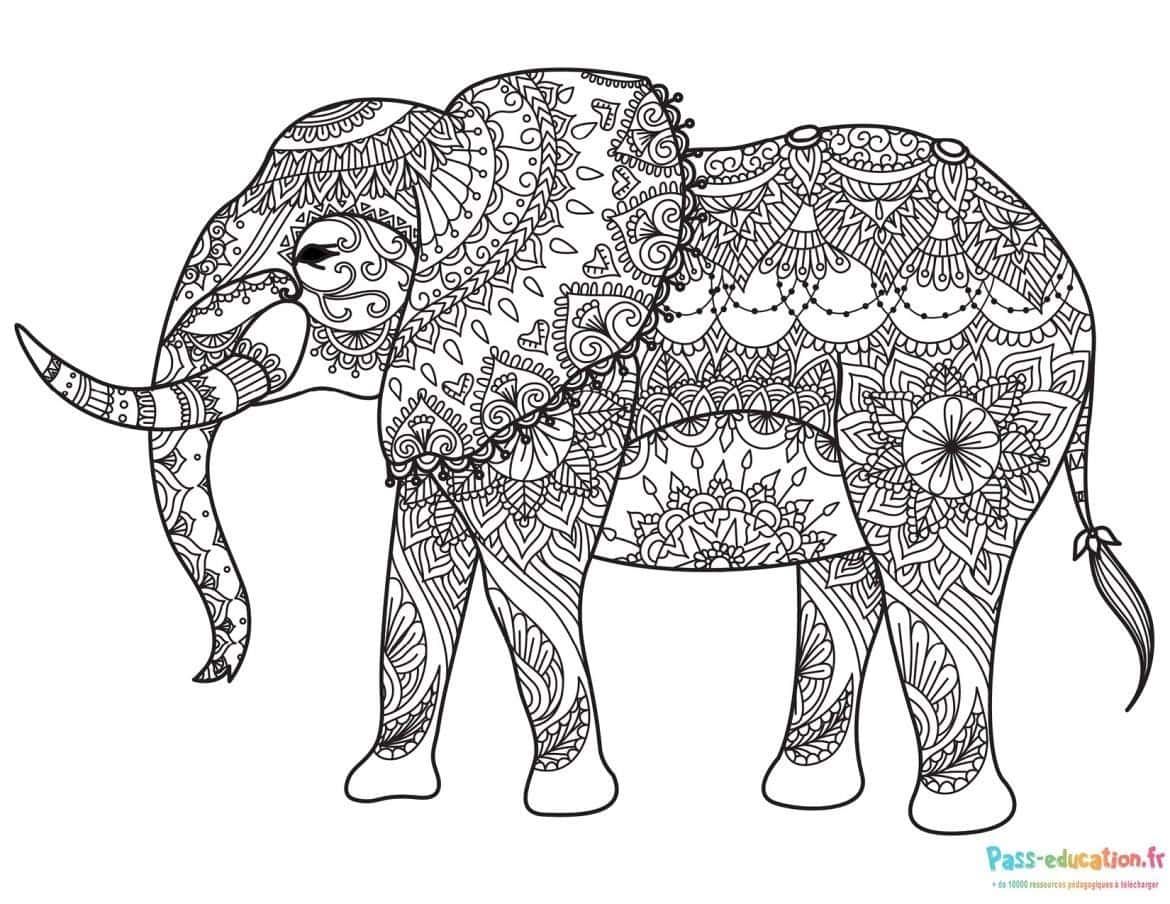Coloriage Éléphant mandala à imprimer et colorier
