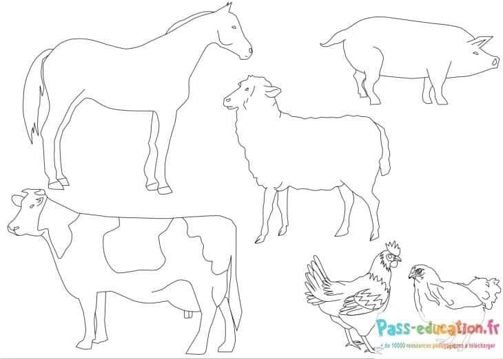 Coloriage Animaux de la ferme à imprimer et colorier