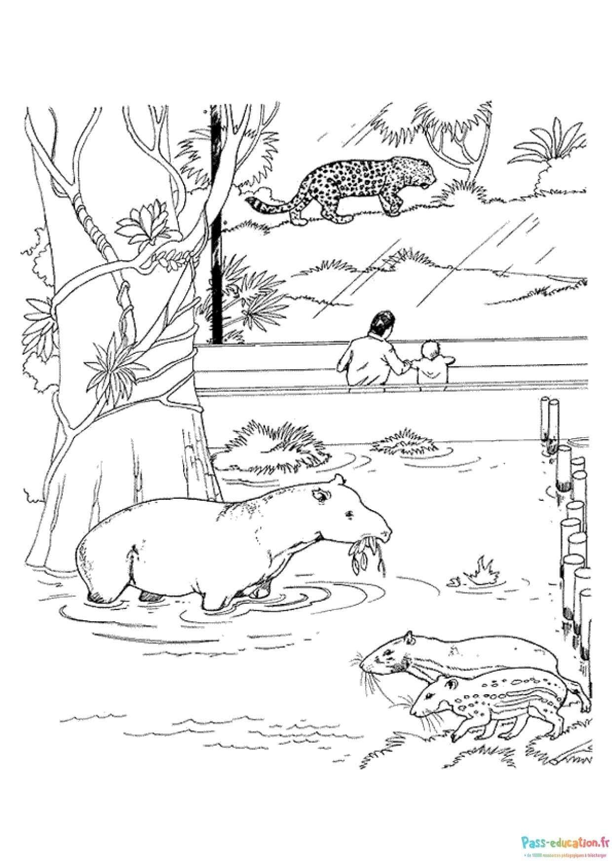 Coloriage Visite au zoo à imprimer et colorier