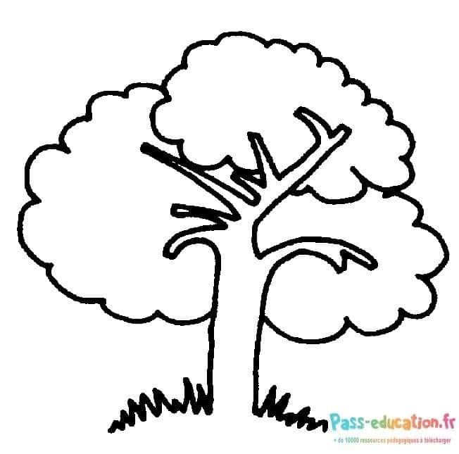 Coloriage Arbre dessin simple à imprimer et colorier