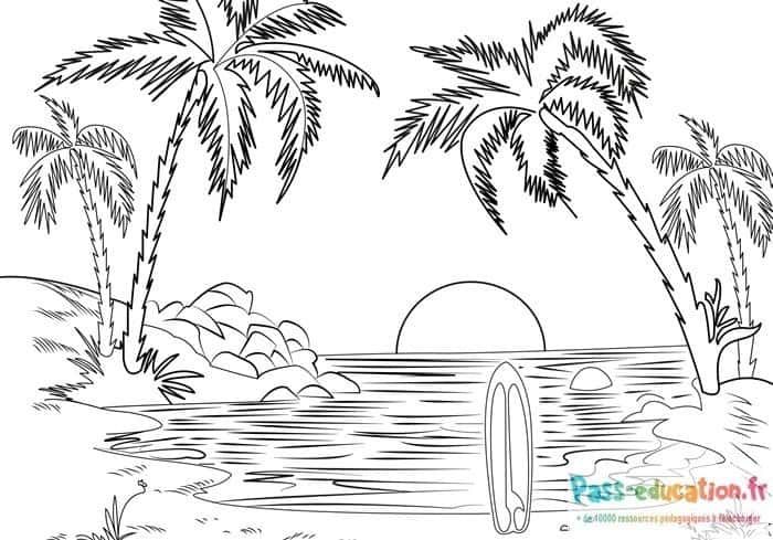 Coloriage Coucher de soleil tropical à imprimer et colorier