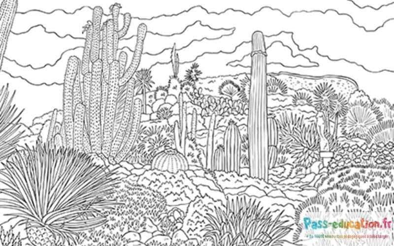 Coloriage Désert de cactus à imprimer et colorier