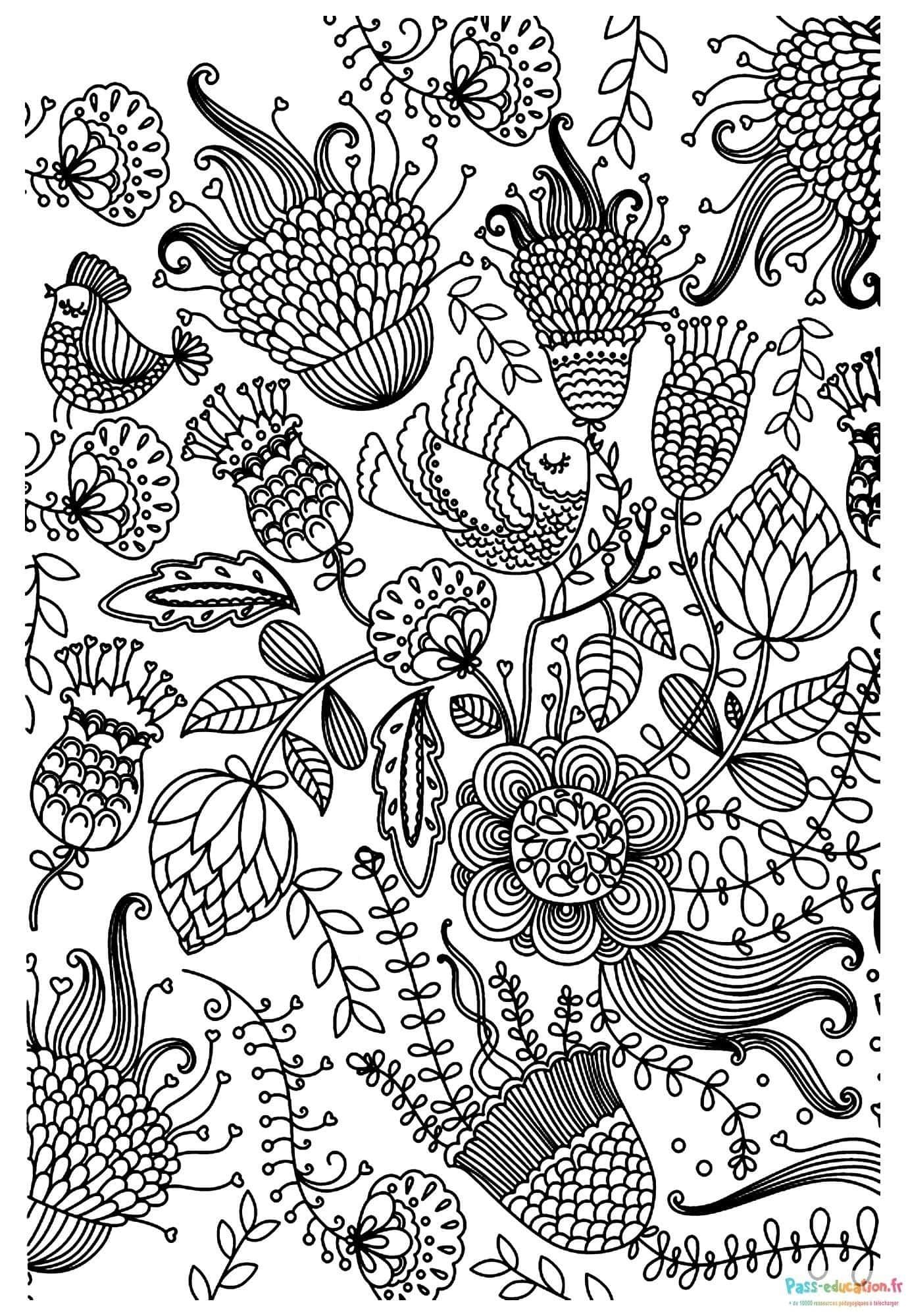 Coloriage Fleurs et oiseaux fantaisie à imprimer et colorier