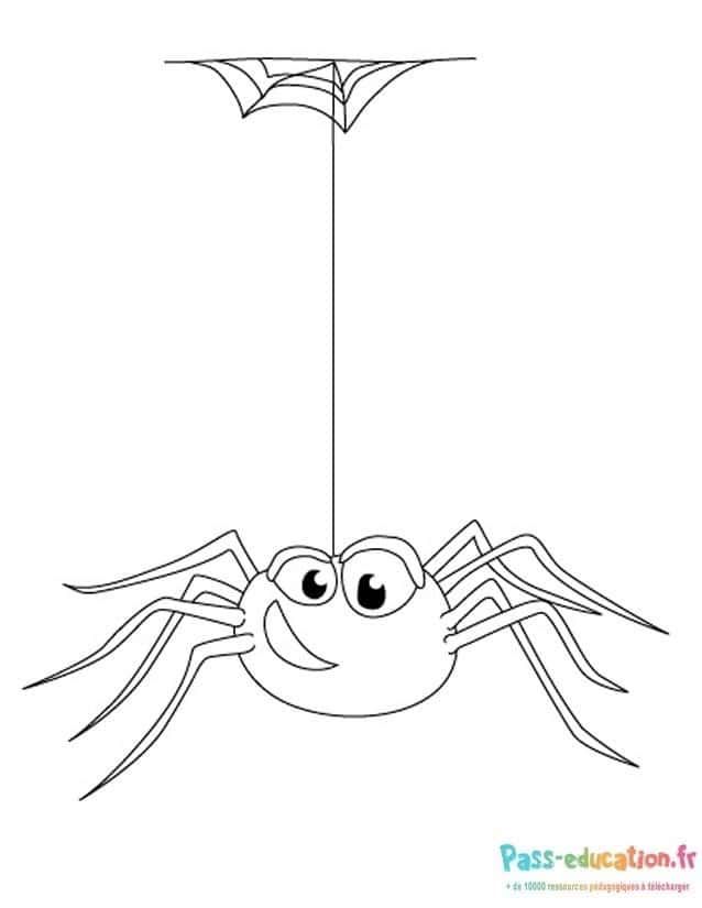 Coloriage Araignée joyeuse à imprimer et colorier