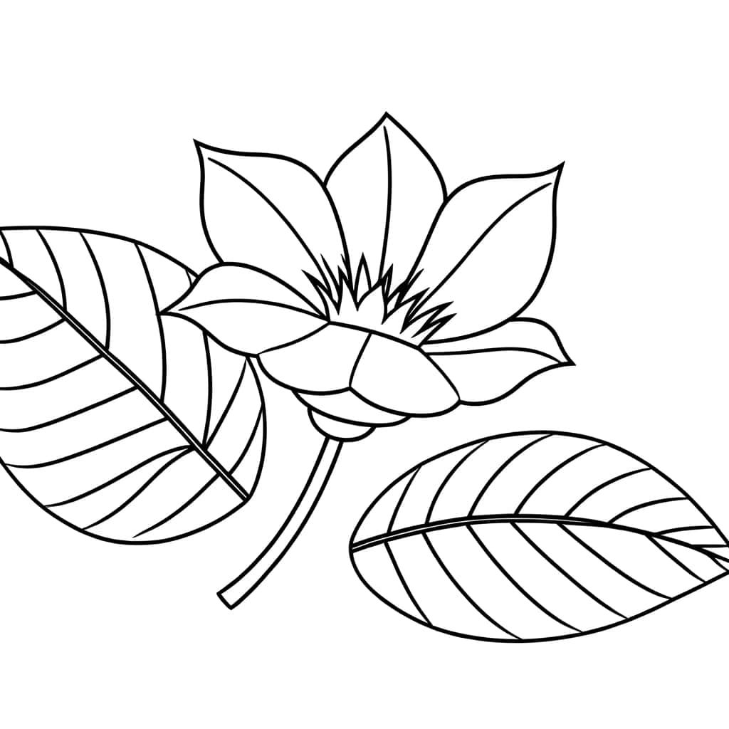 Coloriage Fleur exotique à imprimer et colorier