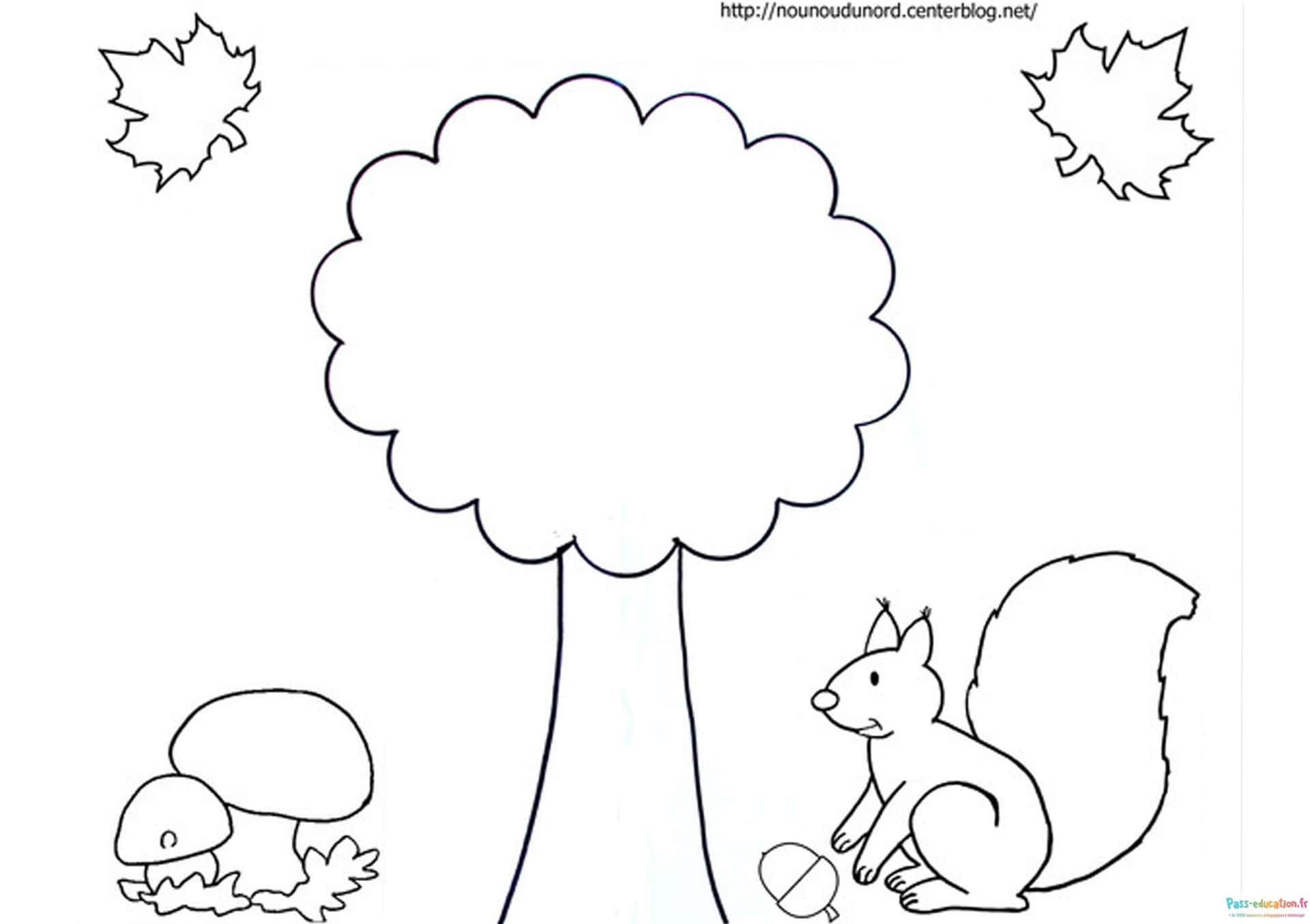 Coloriage Automne chez les animaux à imprimer et colorier