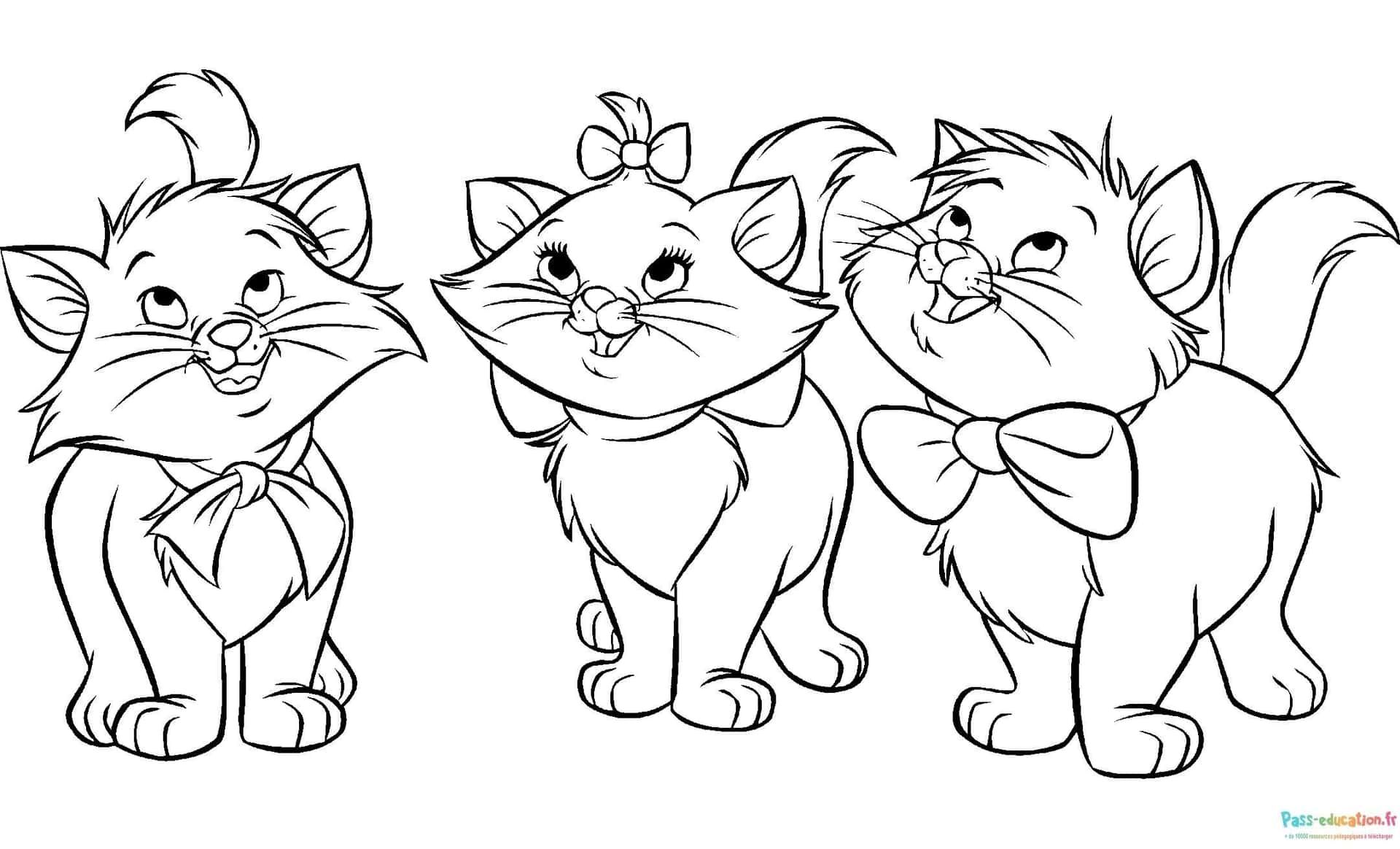 Coloriage Trio de chats élégants à imprimer et colorier