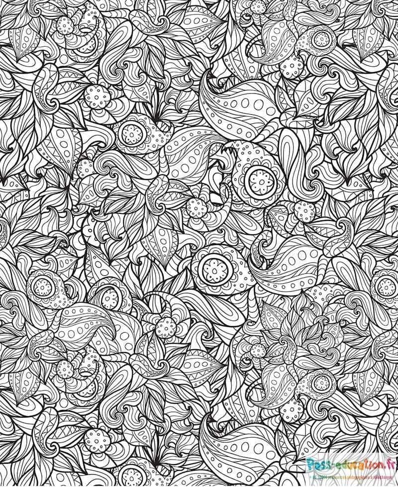 Coloriage Jardin floral enchanté à imprimer et colorier