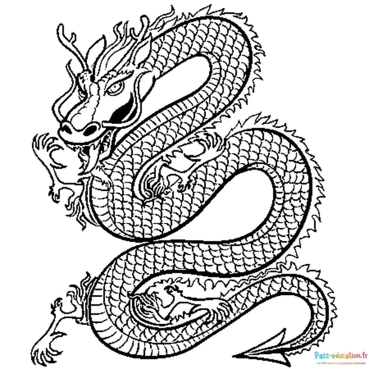 Coloriage Dragon chinois à imprimer et colorier