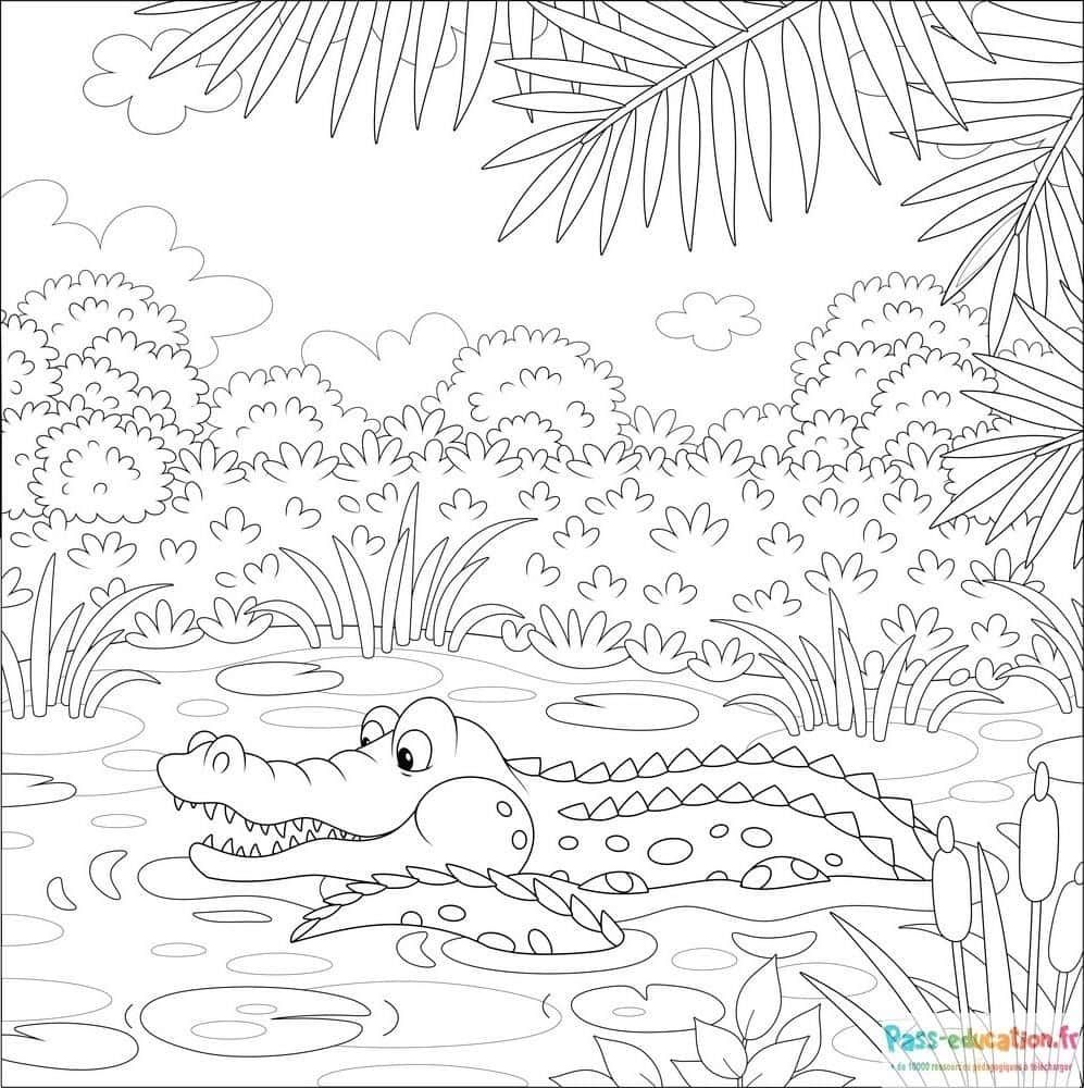 Coloriage Crocodile dans l'eau à imprimer et colorier