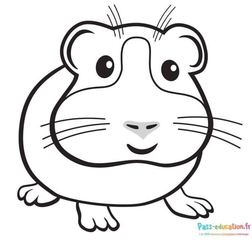 Coloriage Souris dessin simple à imprimer et colorier