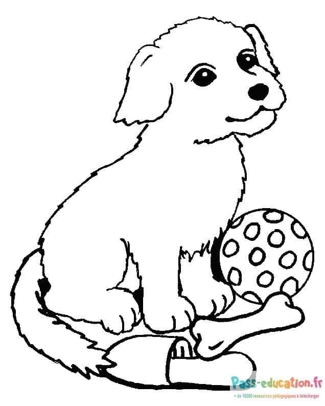 Coloriage Chiot et jouets à imprimer et colorier