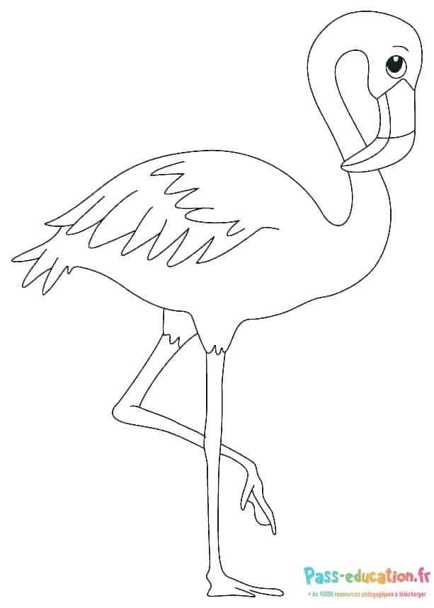 Coloriage Flamant rose à imprimer et colorier