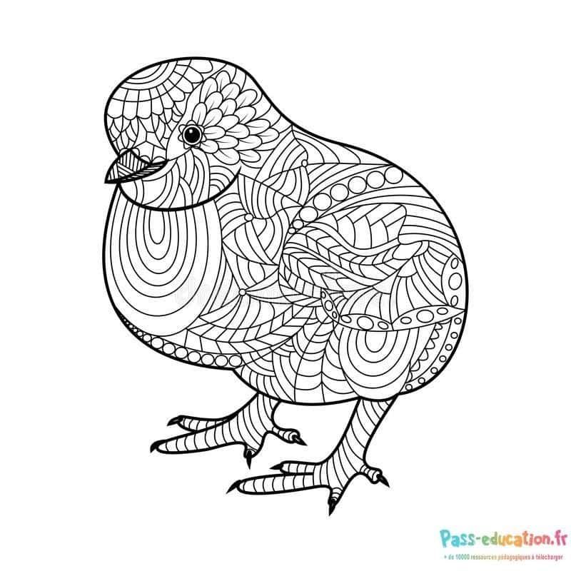 Coloriage Poussin mandala à imprimer et colorier