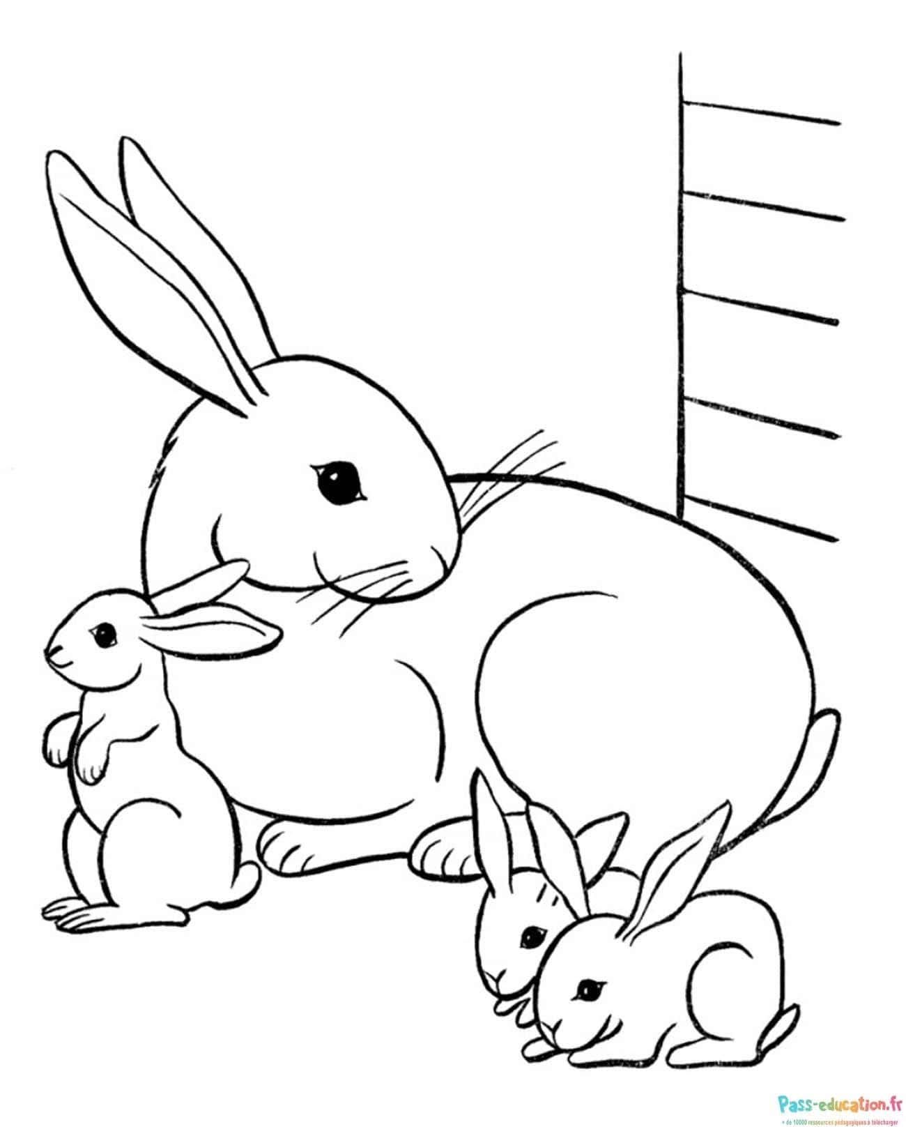Coloriage Famille de lapins à imprimer et colorier
