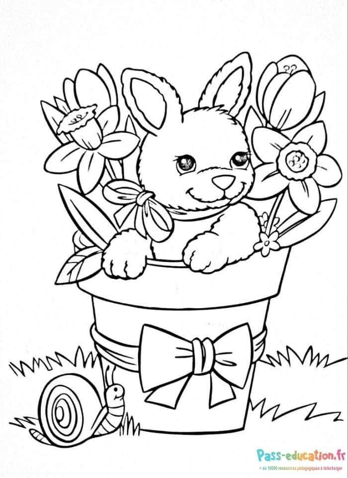 Coloriage Lapin dans un pot à imprimer et colorier