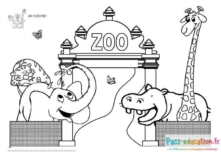 Coloriage Animaux du zoo à imprimer et colorier
