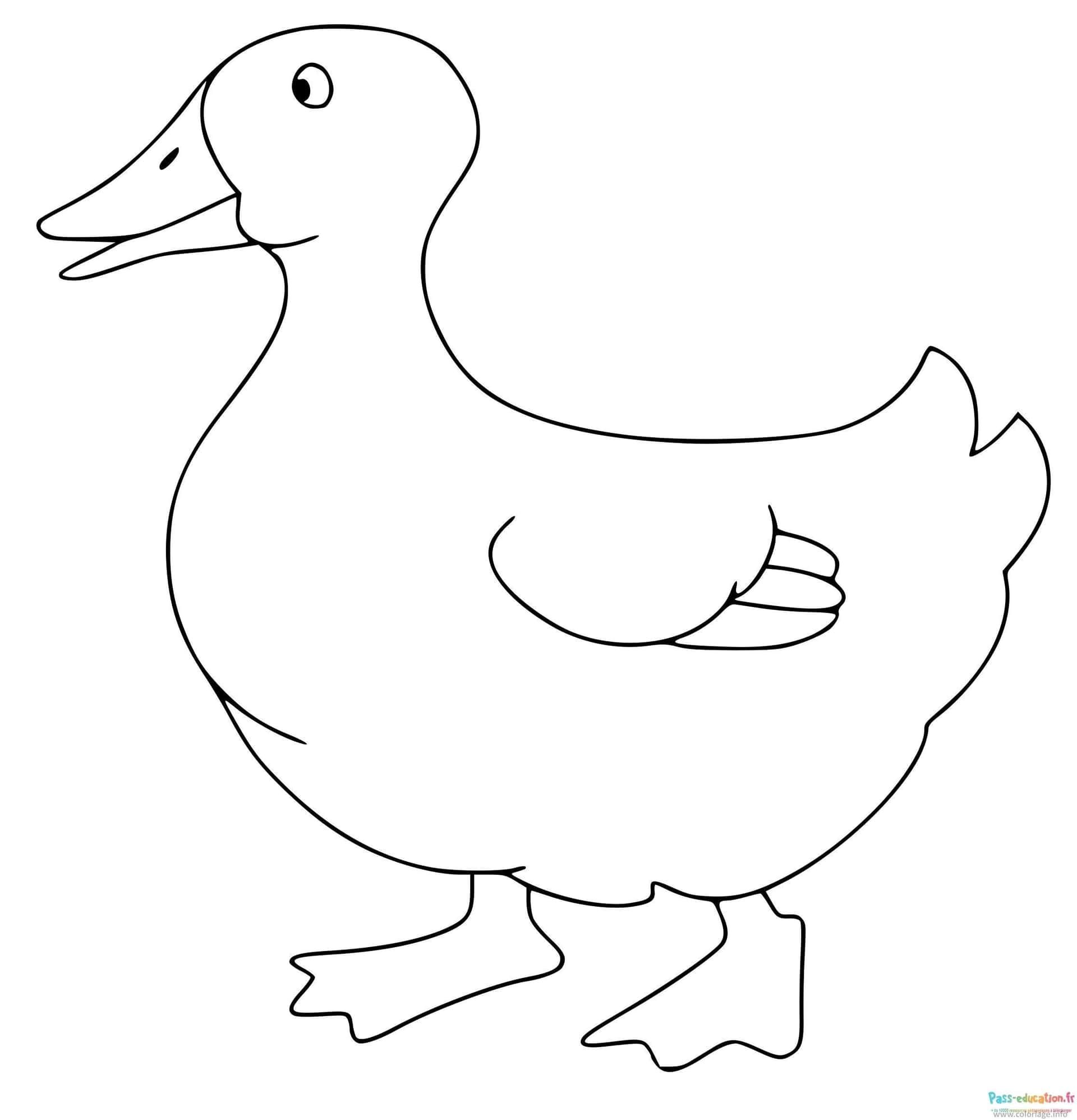 Coloriage Canard souriant à imprimer et colorier