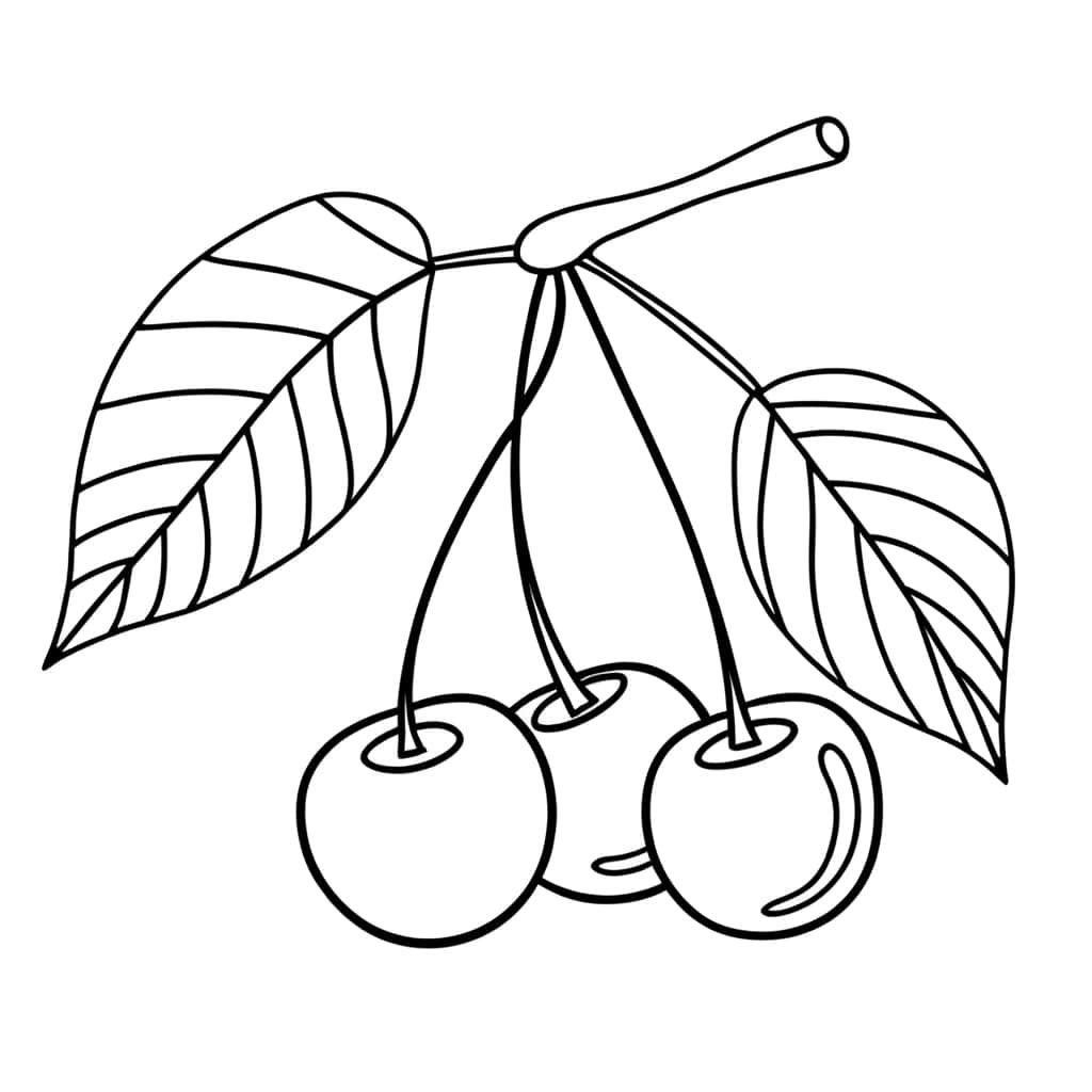 Coloriage Cerises juteuses à imprimer et colorier