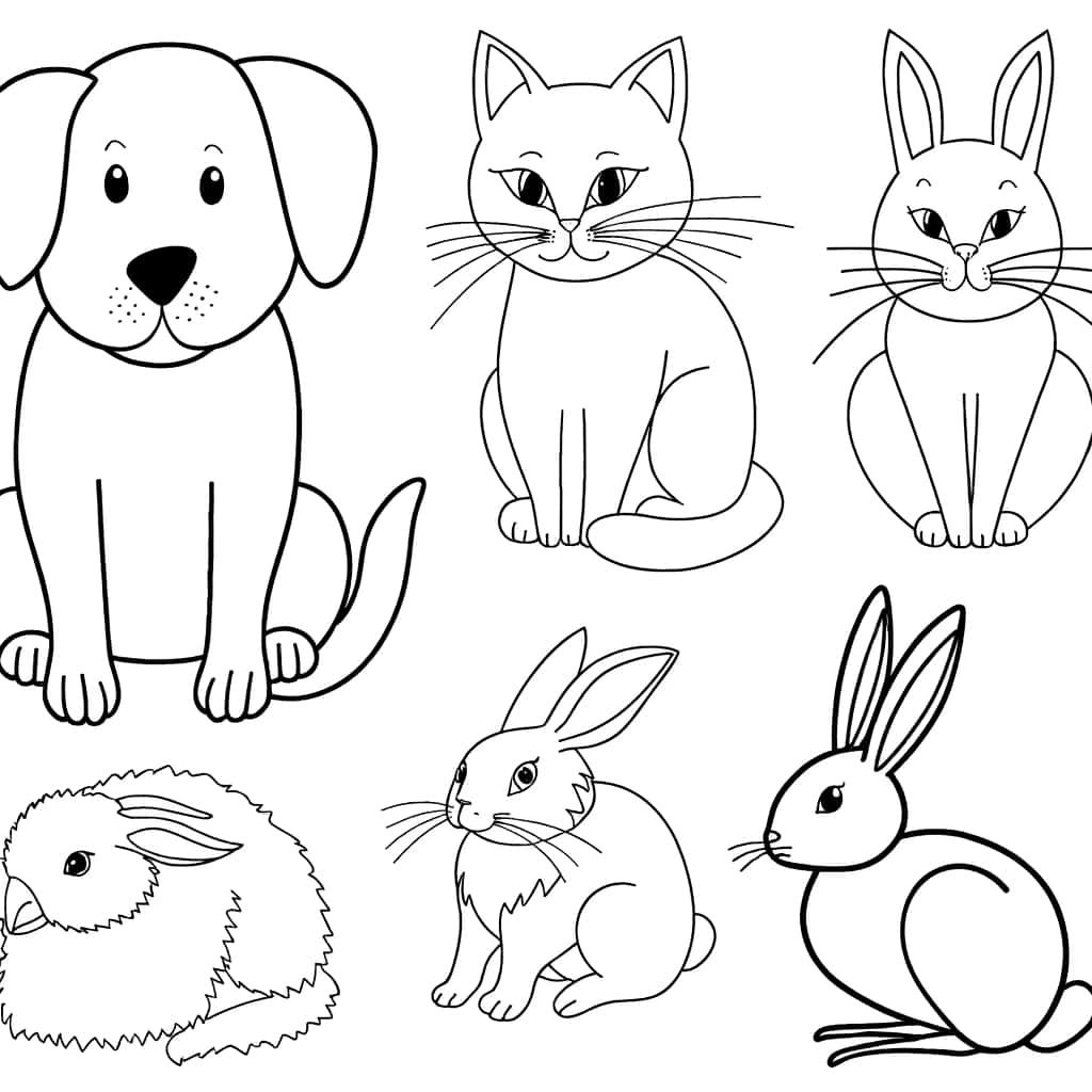 Coloriage Animaux domestiques à imprimer et colorier