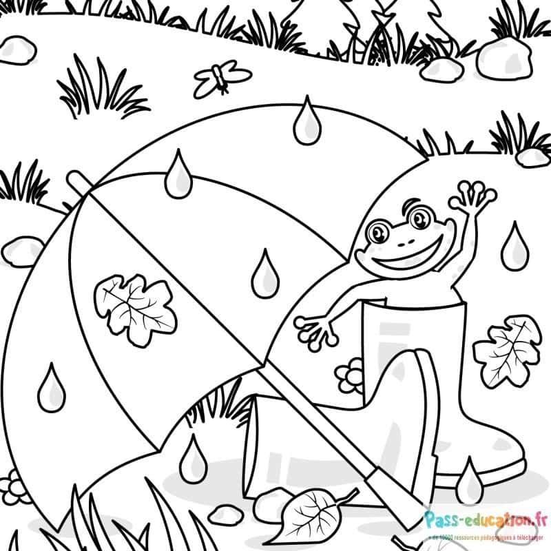 Coloriage Grenouille sous la pluie à imprimer et colorier