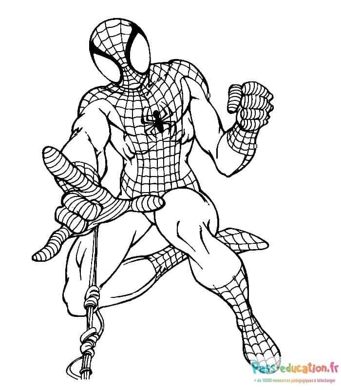 Coloriage Spider-Man à imprimer et colorier