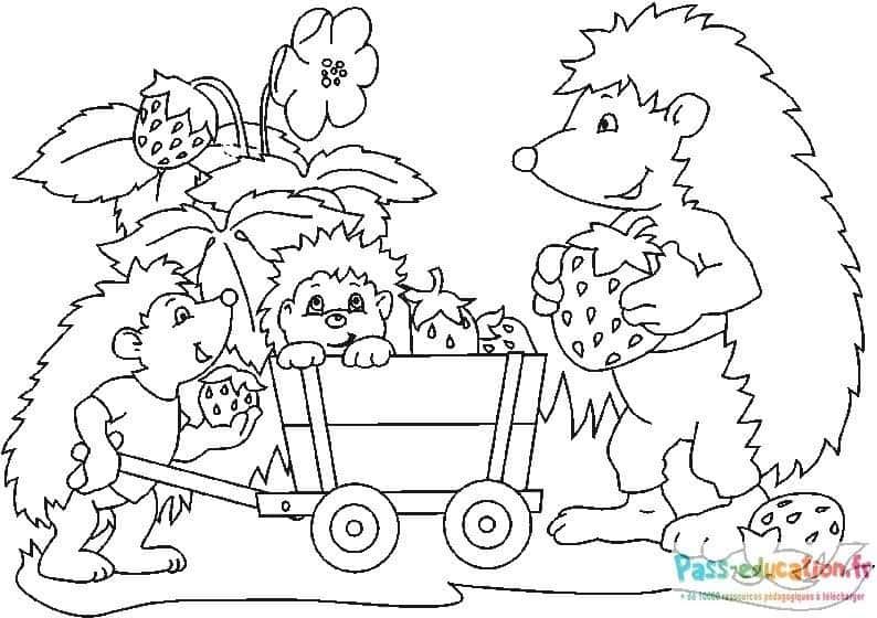 Coloriage Hérissons et fraises à imprimer et colorier