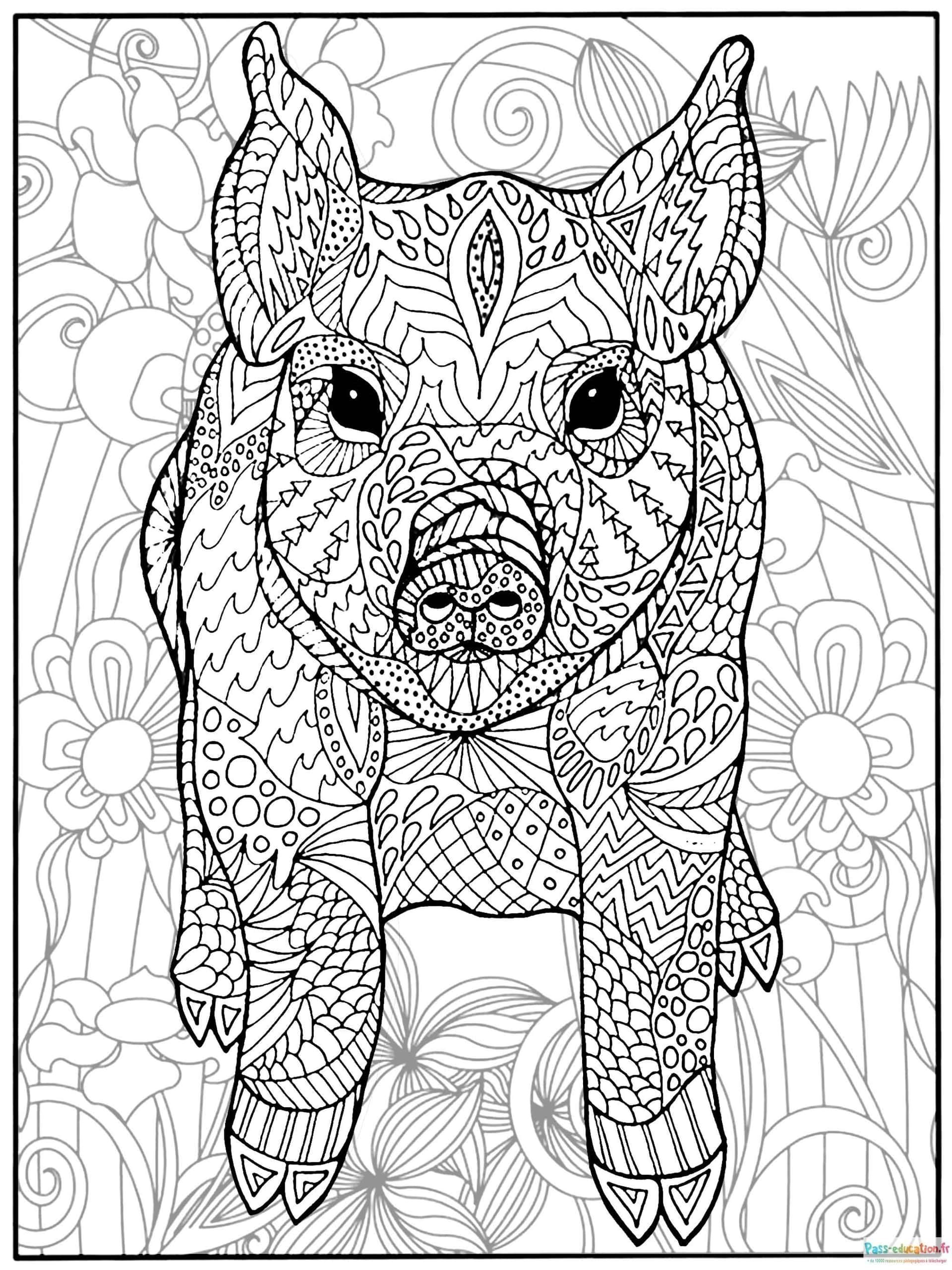 Coloriage Pigmenté porc mandala à imprimer et colorier