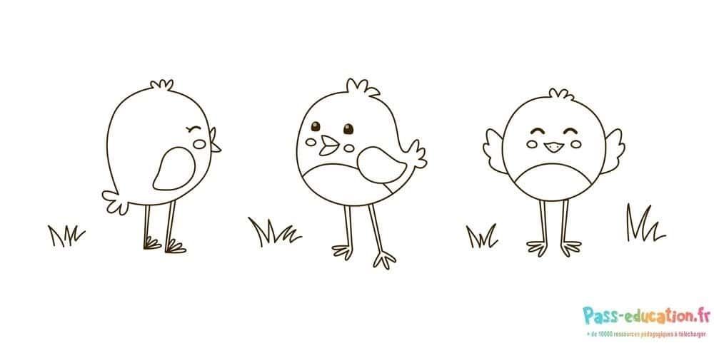 Coloriage Trois poussins rigolos à imprimer et colorier