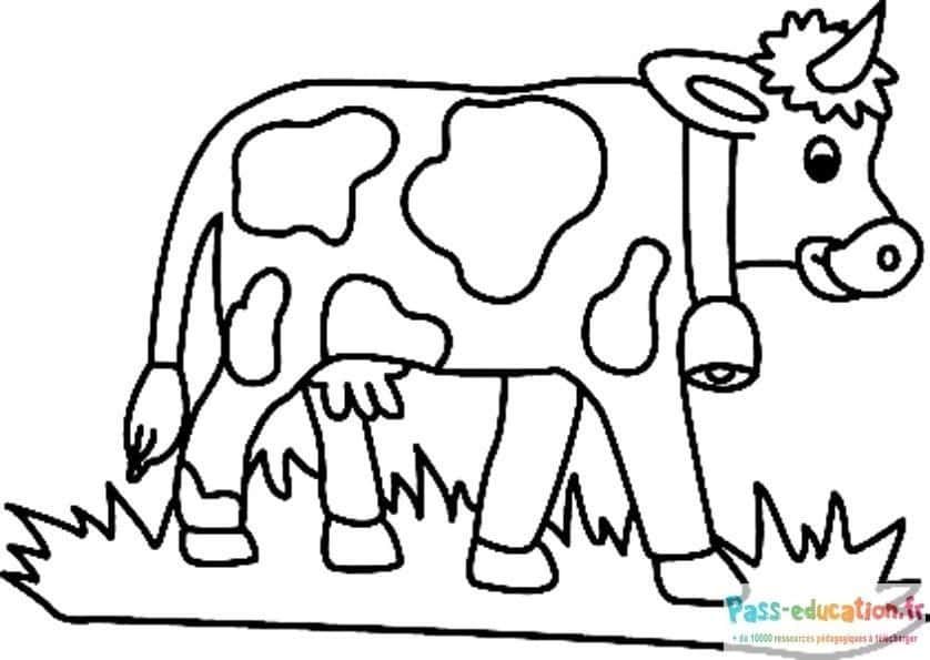 Coloriage Dessin de vache à imprimer et colorier