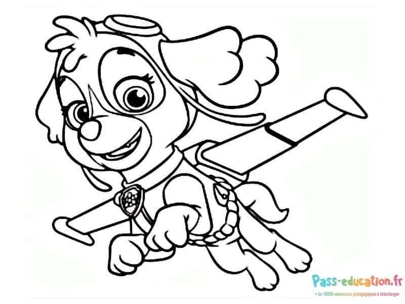 Coloriage Stella Pat'Patrouille à imprimer et colorier