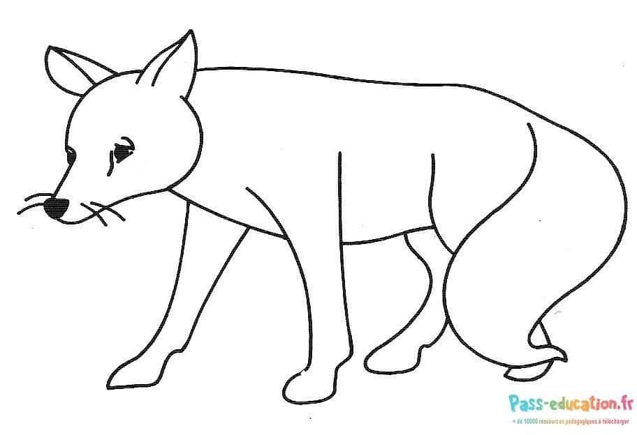 Coloriage Renard en marche à imprimer et colorier