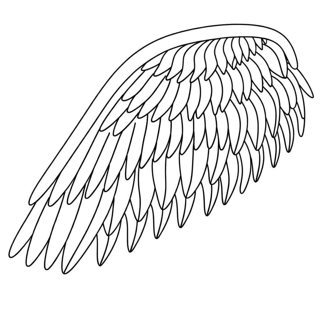 Coloriage Aile d'ange à imprimer et colorier