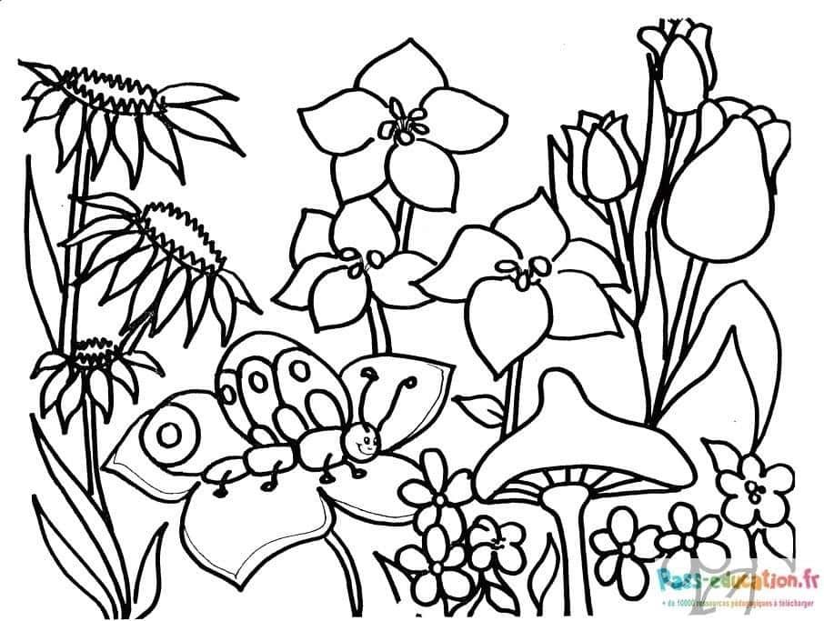 Coloriage Printemps fleuri à imprimer et colorier