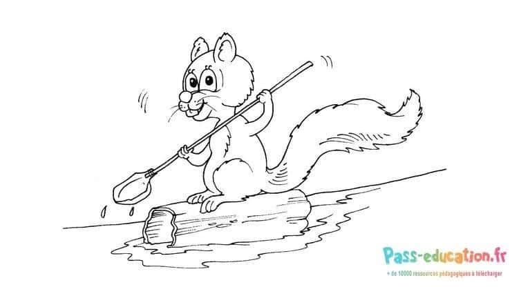 Coloriage Écureuil pagayeur à imprimer et colorier