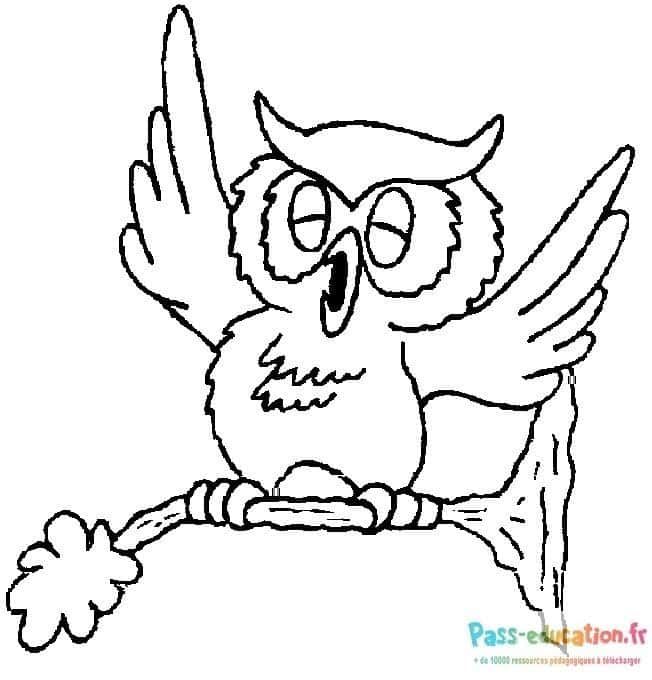 Coloriage Hibou alerte à imprimer et colorier